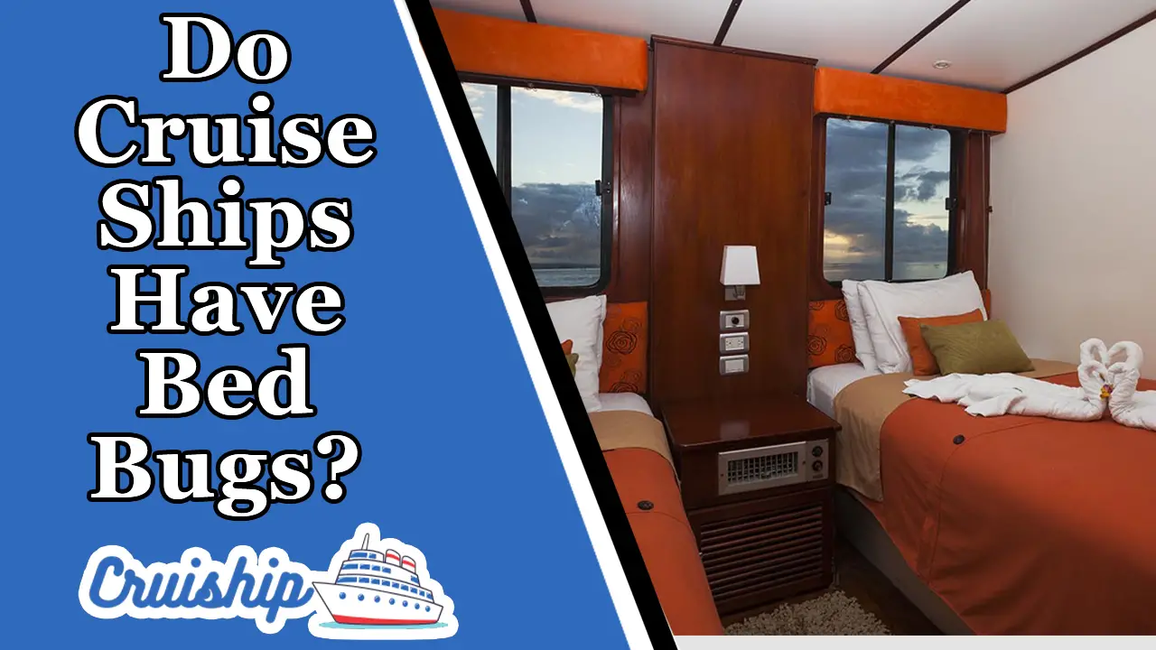 Do Cruise Ships Have Bed Bugs? A Bug’s Life at Sea!